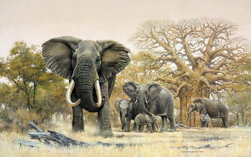 troupeau d’éléphants et baobabs Peintures à l'huile
